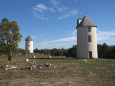Contacter Stéphanie BOSCO, votre conseiller immobilier Optimhome à Mouilleron-en-Pareds