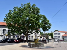 Contacter Philippe MONTEIRO, votre conseiller immobilier Optimhome à Romagnat
