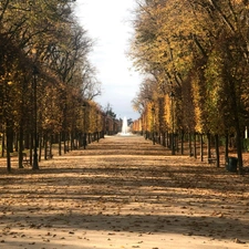 Contacter Lou DORDAIN, votre conseiller immobilier Optimhome à Poitiers