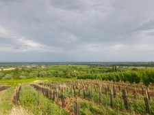 Pourquoi acheter dans le piémont et surtout à Barr