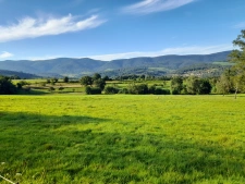 Quel interet d'avoir un grand jardin voir un très grand jardin ?