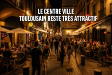 Quels commerces résistent encore vraiment à Toulouse ?