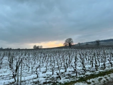 Le marché immobilier en Alsace en 2026 : tendances et perspectives