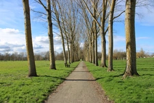 Marmande