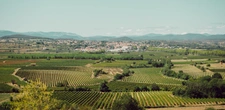 capifrance