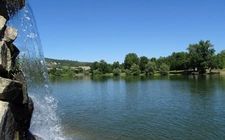 Contacter Laure TARDIF, votre conseiller immobilier Optimhome à Cournon-d'Auvergne
