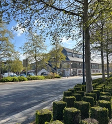Actualités immobilières à Castres et dans le Tarn