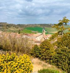 Contacter Chloe BRU DELAIGUE, votre conseiller immobilier Optimhome à Castres