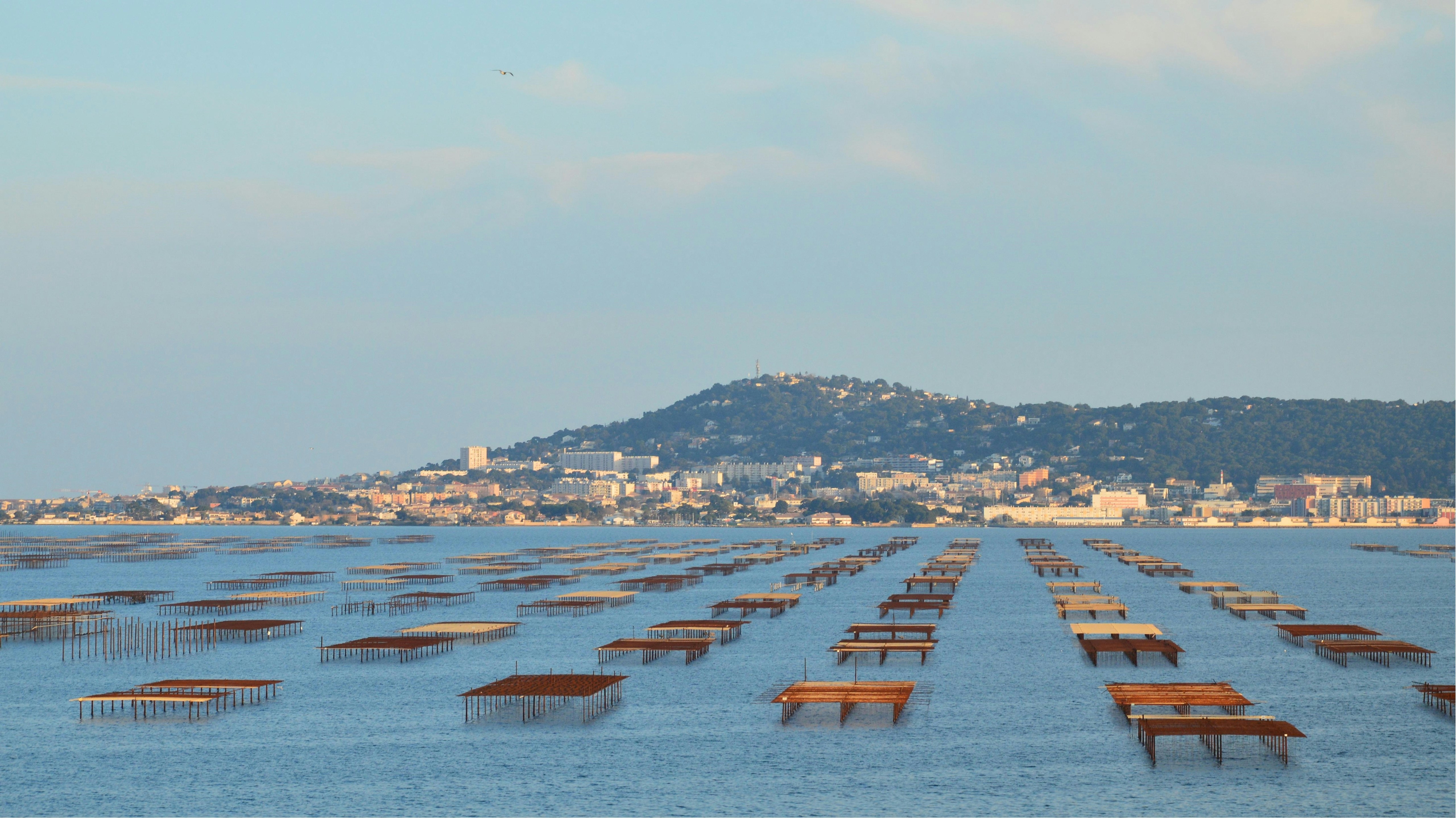 Villeveyrac