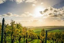 Pierrerue : Authenticité Médiévale et Cadre Panoramique