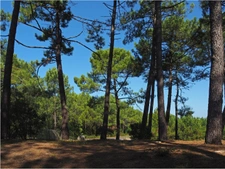 capifrance