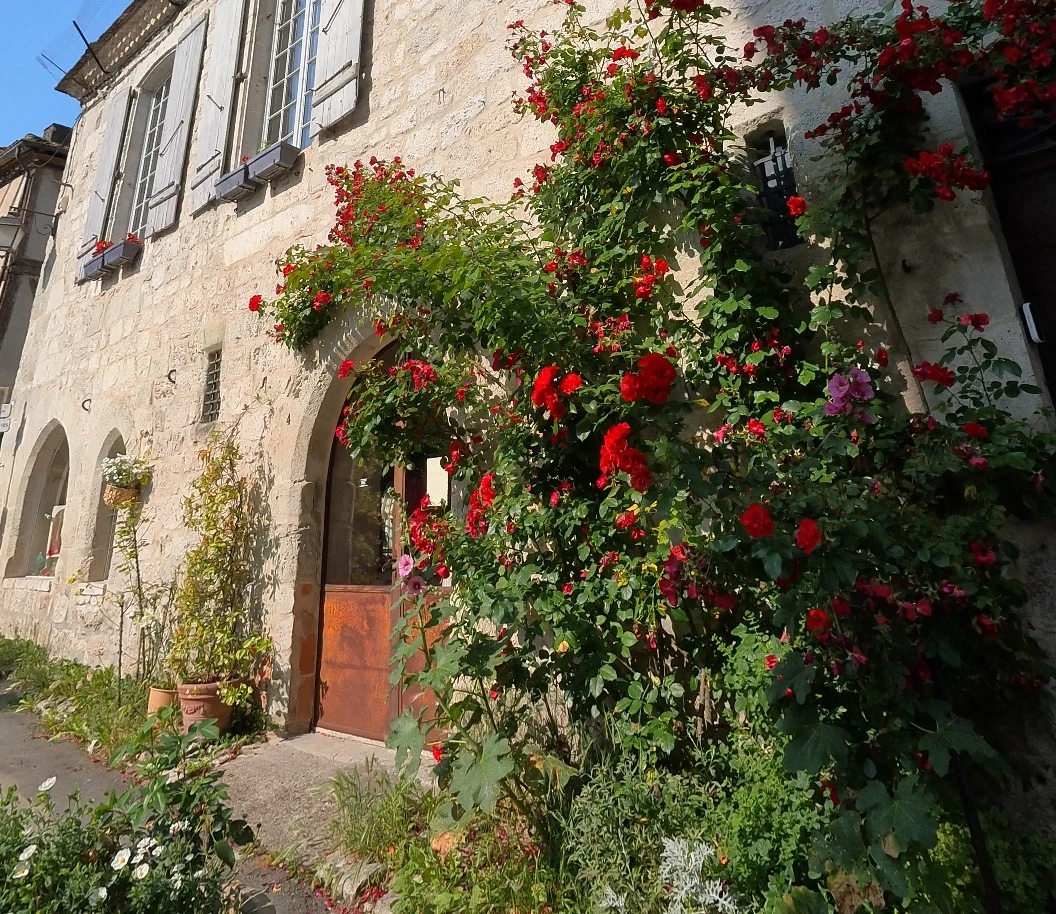 capifrance