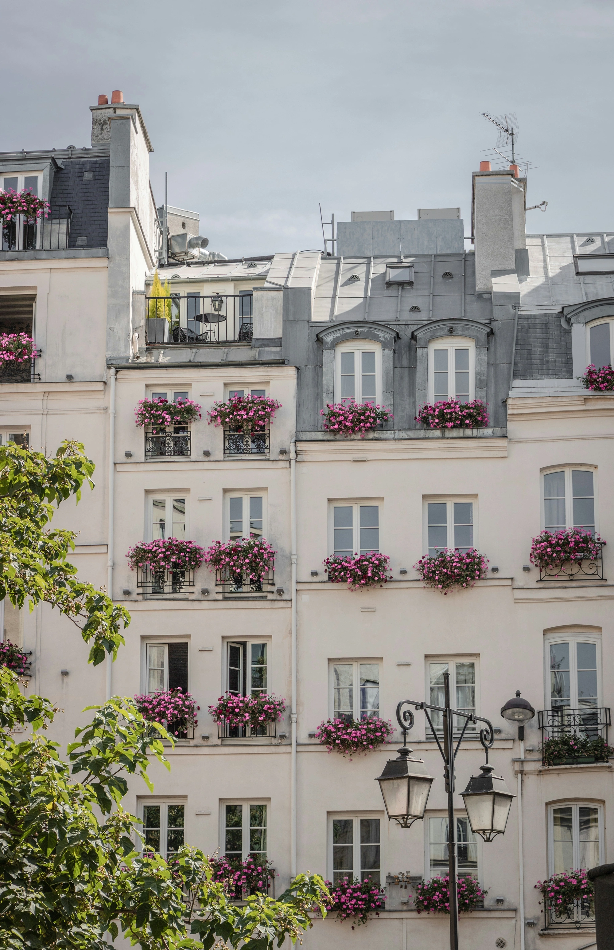 Agent expert à Paris et en Île-de-France. Une relation de confiance, le point de départ d'un projet réussi.