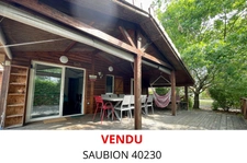 Saubion