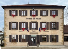 Genay (69) et son marché immobilier local