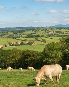 Qui suis-je ? Alison Lamborot, agent commercial en immobilier native du Charolais-Brionnais, je vis et travaille sur le secteur de Paray-le-Monial et ses alentours.