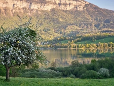 Immobilier au Lac d'Aiguebelette : prix, marrché et estimation des biens