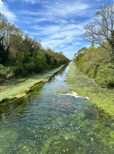 Immobilier à Rompsay : Un quartier de La Rochelle qui séduit de plus en plus