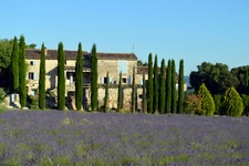 Benjamin TESNIERE, mandataire immobilier Optimhome à Montélimar (26200)
