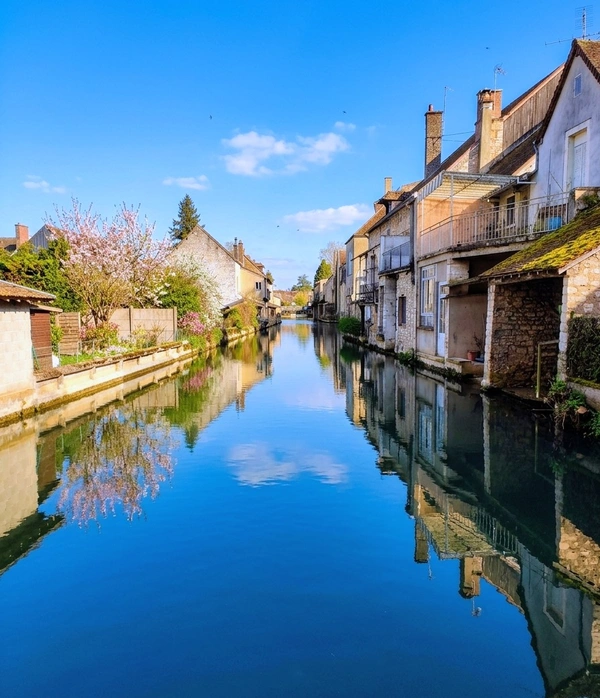 Analyse du marché et opportunités du printemps