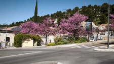 Quelles sont les étapes pour vendre sa maison à Ensuès-la-Redonne ?