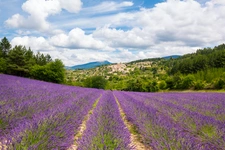 capifrance