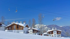A native of the region, I offer local property expertise and unfailing support.