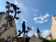 Savignac-les-Églises