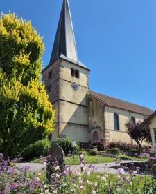 Native de la région, je propose une expertise immobilière locale et un accompagnement sans faille.
