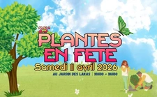Plantes en fêtes