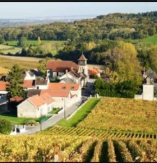 Natif de la région, je propose une expertise immobilière locale et un accompagnement sans faille.