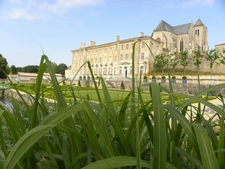 Celles-sur-Belle