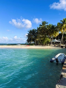 Amoureux de la Guadeloupe, je mets mon expertise et ma connaissance du terrain à votre service pour concrétiser votre projet. N'hésitez pas à me contacter!