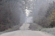 Secteur Forêt d'Orléans
