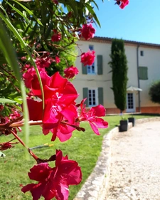capifrance