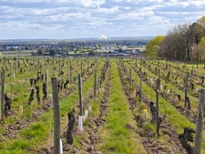 Bourgueil