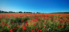 Contacter Séverine BULLIOD, votre conseiller immobilier Optimhome à Arandon