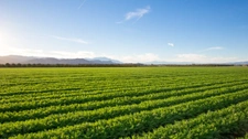Acheter ou vendre un terrain agricole en 2026 : le guide complet