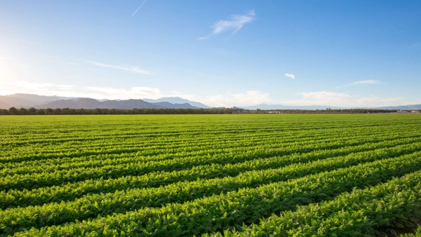 Acheter ou vendre un terrain agricole en 2026 : le guide complet