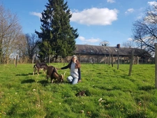 Vous rêvez de vivre au vert ? Bien choisir votre propriété à la campagne