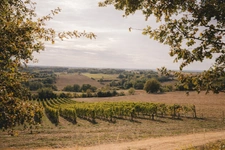Saint-Sauveur