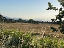 Canohès