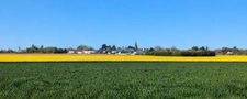 capifrance