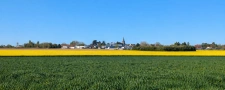 Marché immobilier 2026 à Le Plessis-Belleville et nord Seine-et-Marne