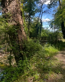 Ploërmel