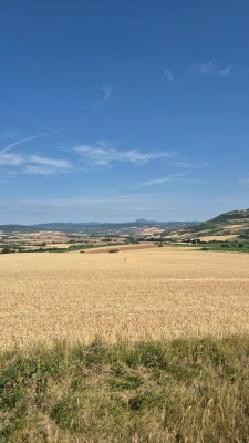 Colette FAYOLLE, mandataire immobilier Optimhome à Montpeyroux (63114)