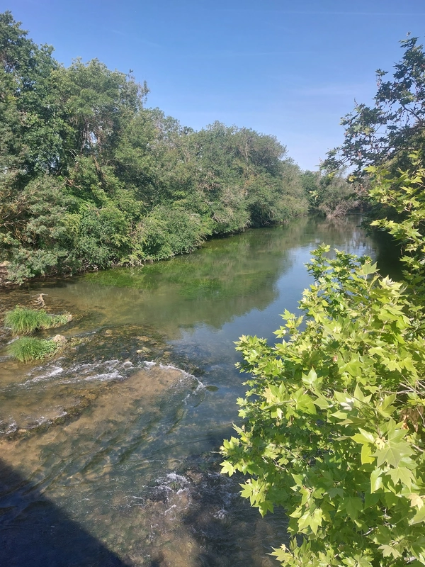 Montignac-Charente