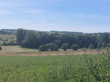 Montignac-Charente