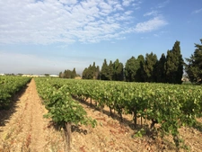 La Fare-les-Oliviers
