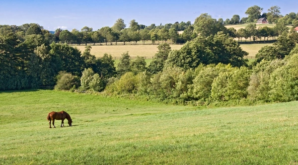 Saint-Didier-sous-Écouves